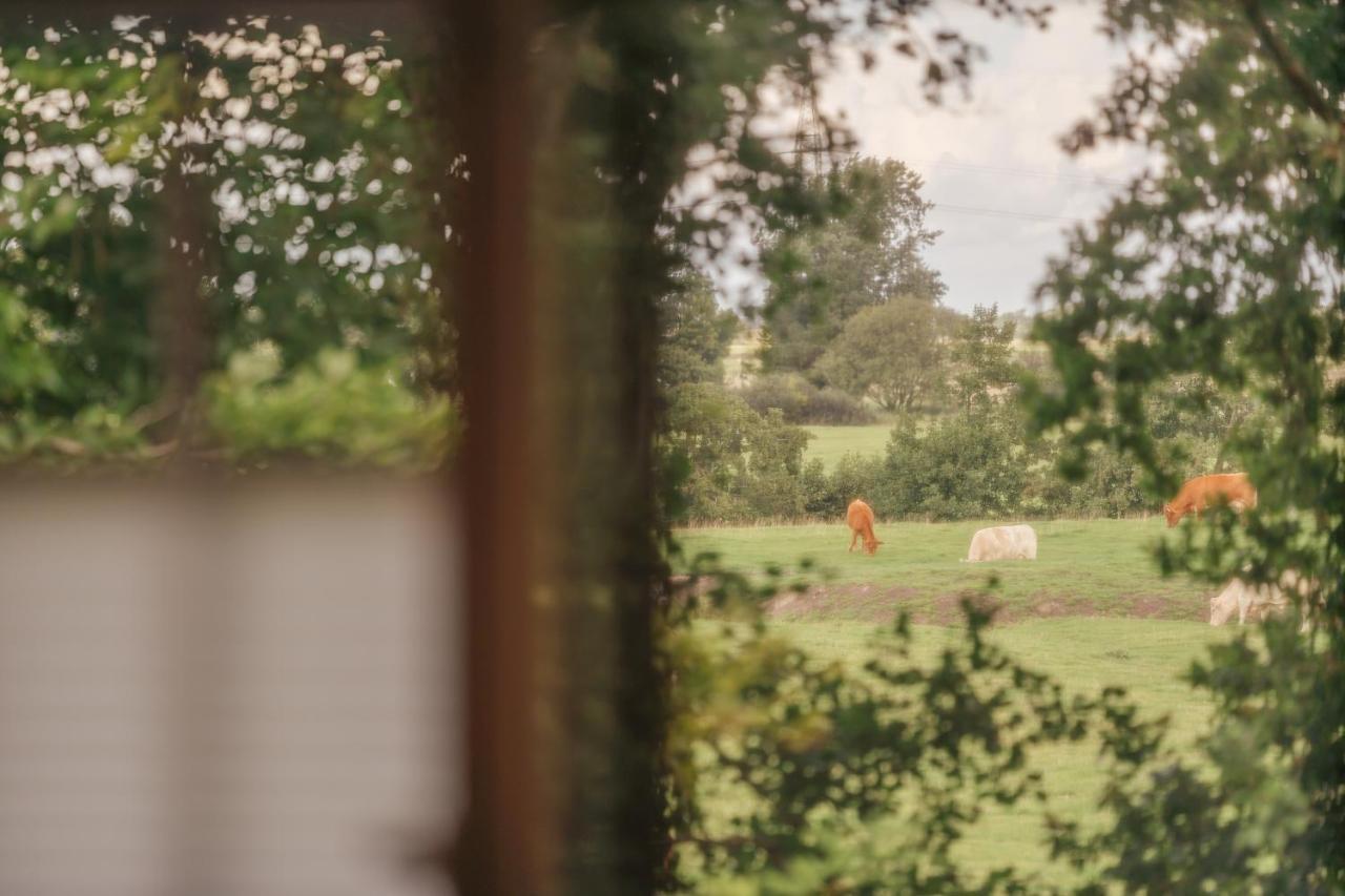 Appartamento "Reetland" - Haus Hartwig Tating Esterno foto